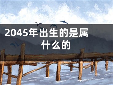 2045年出生的是属什么的