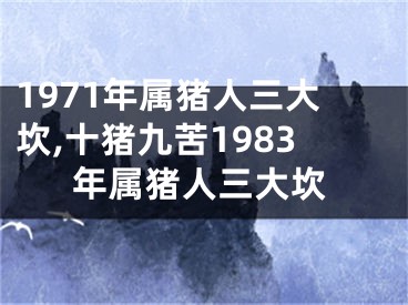1971年属猪人三大坎,十猪九苦1983年属猪人三大坎