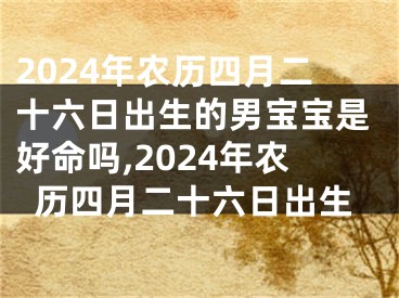 2024年农历四月二十六日出生的男宝宝是好命吗,2024年农历四月二十六日出生