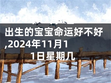2024年11月4日出生的宝宝命运好不好,2024年11月11日星期几