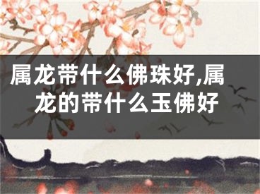 属龙带什么佛珠好,属龙的带什么玉佛好