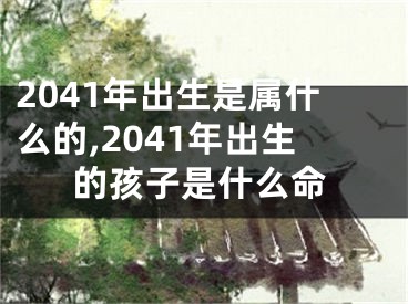 2041年出生是属什么的,2041年出生的孩子是什么命