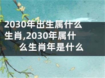2030年出生属什么生肖,2030年属什么生肖年是什么