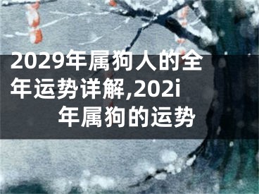 2029年属狗人的全年运势详解,202i年属狗的运势