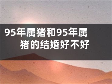 95年属猪和95年属猪的结婚好不好