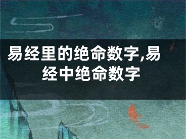 易经里的绝命数字,易经中绝命数字