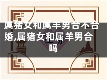 属猪女和属羊男合不合婚,属猪女和属羊男合吗