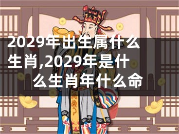 2029年出生属什么生肖,2029年是什么生肖年什么命