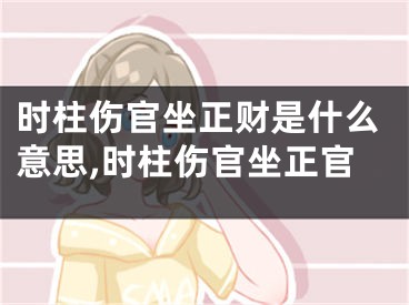 时柱伤官坐正财是什么意思,时柱伤官坐正官