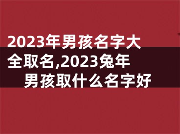 2023年男孩名字大全取名,2023兔年男孩取什么名字好