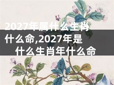 2027年属什么生肖什么命,2027年是什么生肖年什么命