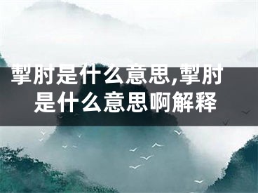 掣肘是什么意思,掣肘是什么意思啊解释