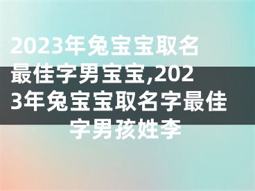 2023年兔宝宝取名最佳字男宝宝,2023年兔宝宝取名字最佳字男孩姓李