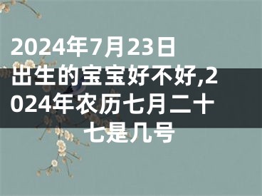 2024年7月23日出生的宝宝好不好,2024年农历七月二十七是几号