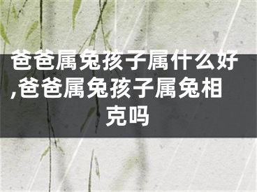 爸爸属兔孩子属什么好,爸爸属兔孩子属兔相克吗