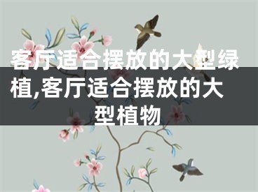 客厅适合摆放的大型绿植,客厅适合摆放的大型植物