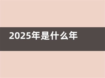 2025年是什么年