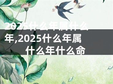2025什么年属什么年,2025什么年属什么年什么命