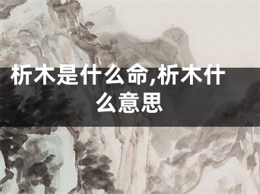 析木是什么命,析木什么意思