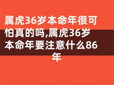 属虎36岁本命年很可怕真的吗,属虎36岁本命年要注意什么86年