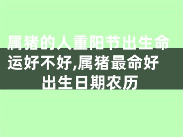 属猪的人重阳节出生命运好不好,属猪最命好出生日期农历