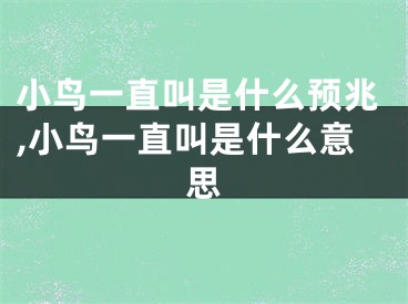 小鸟一直叫是什么预兆,小鸟一直叫是什么意思