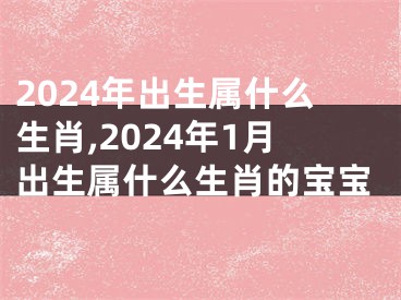 2024年出生属什么生肖,2024年1月出生属什么生肖的宝宝