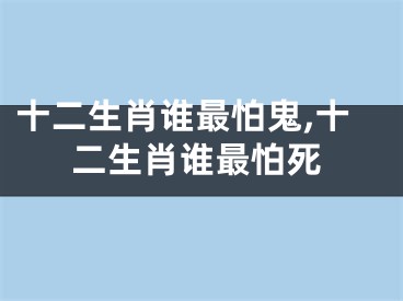 十二生肖谁最怕鬼,十二生肖谁最怕死