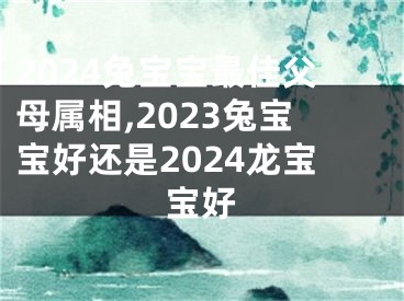 2024兔宝宝最佳父母属相,2023兔宝宝好还是2024龙宝宝好