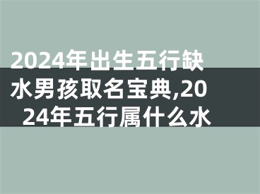 2024年出生五行缺水男孩取名宝典,2024年五行属什么水