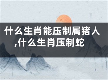 什么生肖能压制属猪人,什么生肖压制蛇