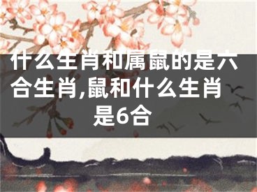什么生肖和属鼠的是六合生肖,鼠和什么生肖是6合