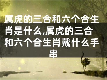 属虎的三合和六个合生肖是什么,属虎的三合和六个合生肖戴什么手串