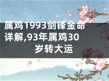 属鸡1993剑锋金命详解,93年属鸡30岁转大运