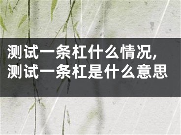 测试一条杠什么情况,测试一条杠是什么意思