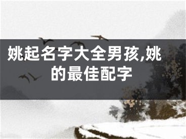姚起名字大全男孩,姚的最佳配字