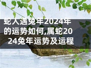 蛇人遇兔年2024年的运势如何,属蛇2024兔年运势及运程