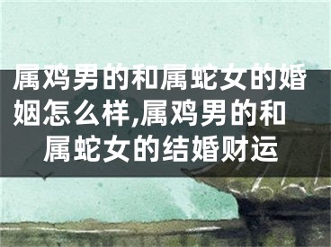 属鸡男的和属蛇女的婚姻怎么样,属鸡男的和属蛇女的结婚财运