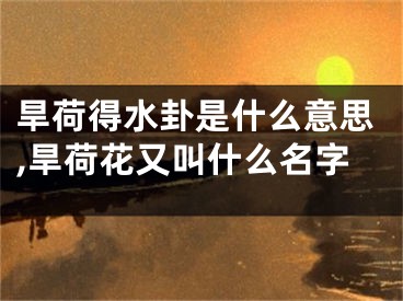 旱荷得水卦是什么意思,旱荷花又叫什么名字