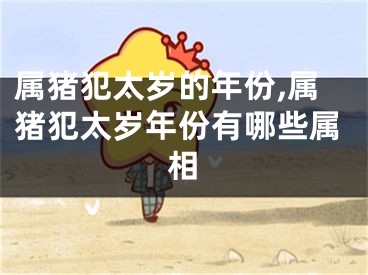 属猪犯太岁的年份,属猪犯太岁年份有哪些属相