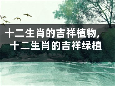 十二生肖的吉祥植物,十二生肖的吉祥绿植