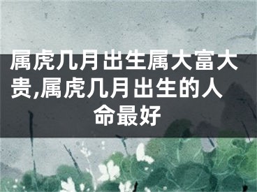 属虎几月出生属大富大贵,属虎几月出生的人命最好