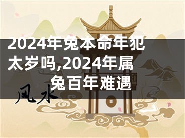 2024年兔本命年犯太岁吗,2024年属兔百年难遇