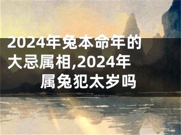 2024年兔本命年的大忌属相,2024年属兔犯太岁吗