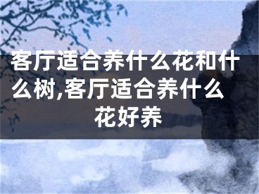 客厅适合养什么花和什么树,客厅适合养什么花好养