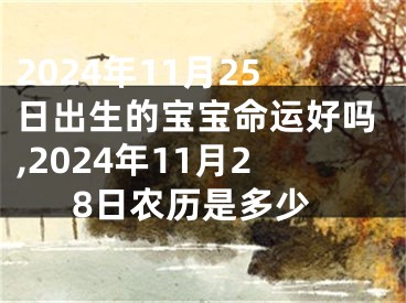 2024年11月25日出生的宝宝命运好吗,2024年11月28日农历是多少