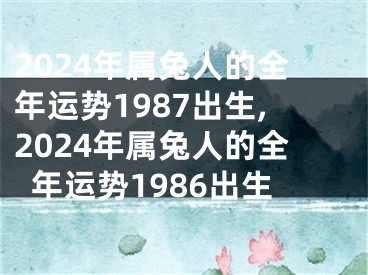 2024年属兔人的全年运势1987出生,2024年属兔人的全年运势1986出生