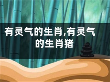 有灵气的生肖,有灵气的生肖猪