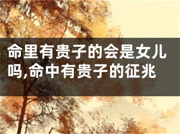 命里有贵子的会是女儿吗,命中有贵子的征兆