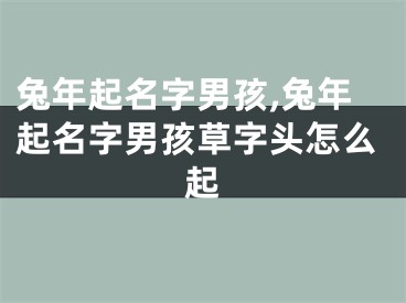 兔年起名字男孩,兔年起名字男孩草字头怎么起